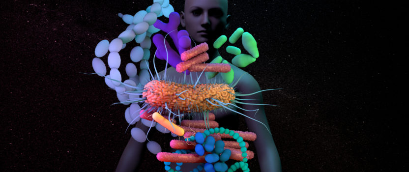 THE BODY’S GUT MICROBIOME:  Our Vitality Organ   (16 March  2022)
